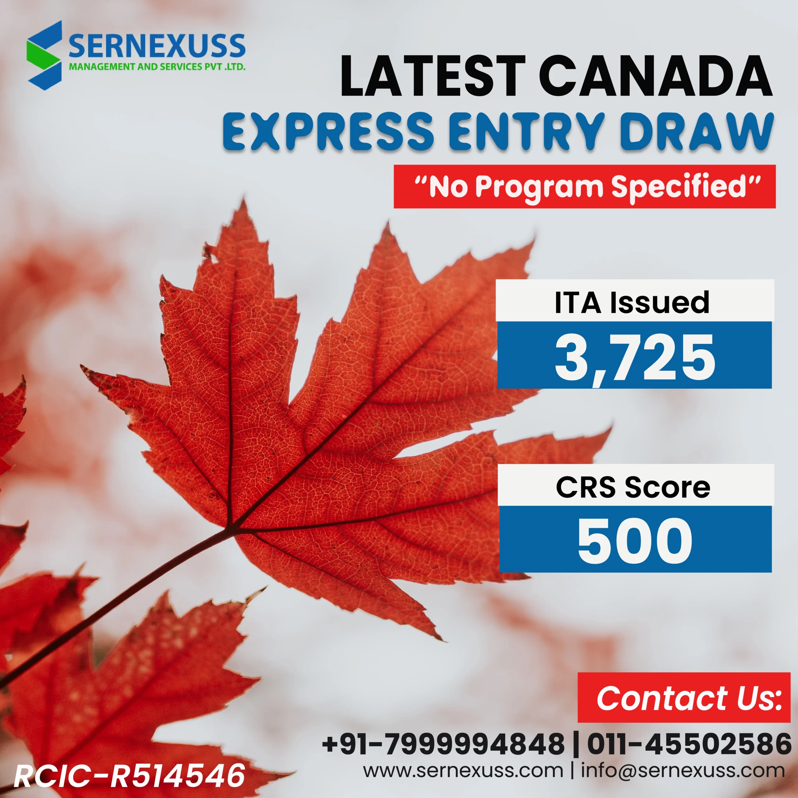 Express Entry Draw 