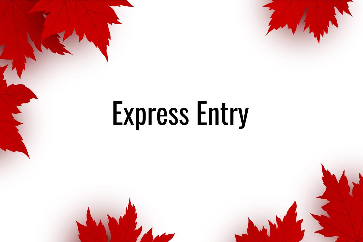 Express Entry Draw Alert! 1,040 ITAs | CRS Score 543 | TikTok